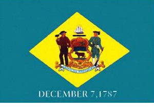 Delaware State Flag