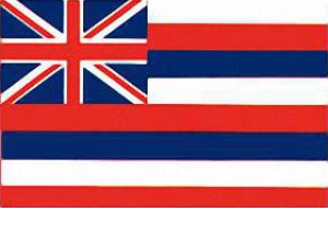 Hawaii State Flag