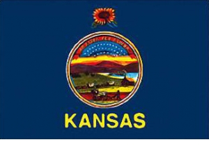 Kansas State Flag