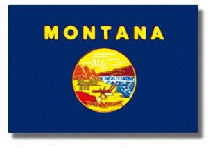 Montana State Flag