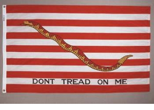 First Navy Jack