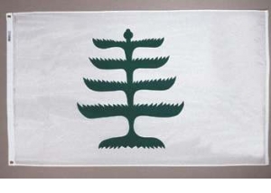 Pine Tree