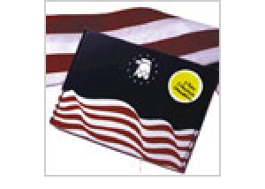 Tough-Text Polyester U.S. Flag Annin & Co.