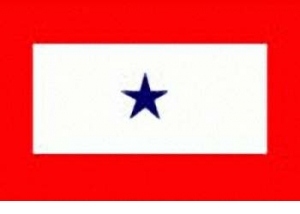 Service Banner & Flag