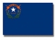 Nevada State Flag