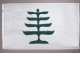 Pine Tree