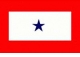 Service Banner & Flag