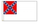 2ND Confederate flag